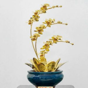 Chậu Lan dát vàng